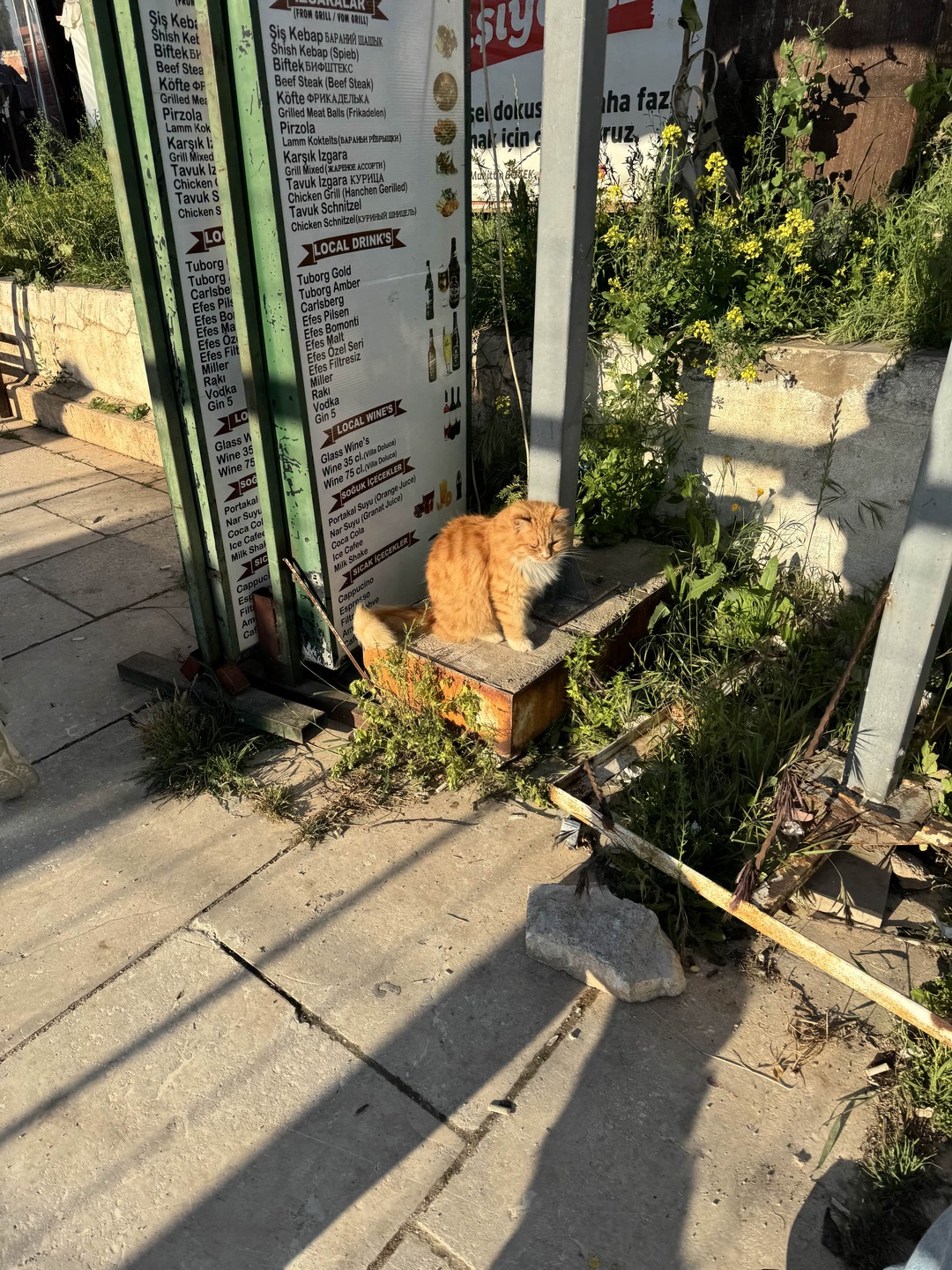 Ходили на экскурсию по старому городу, у нас был гид Туран. Хочется выразить ему огромную благодарность