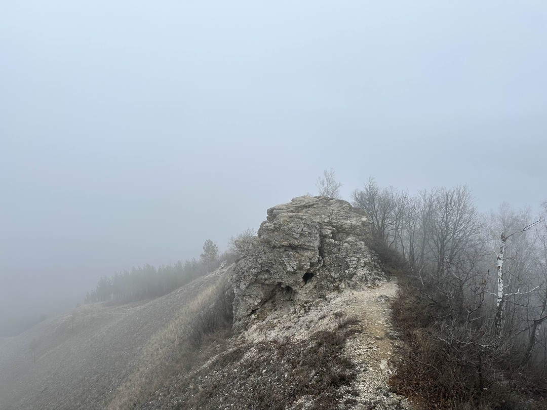 Очень интересная экскурсия. Нам не очень повезло с погодой, был сильнейший туман. Но природа Самарской области