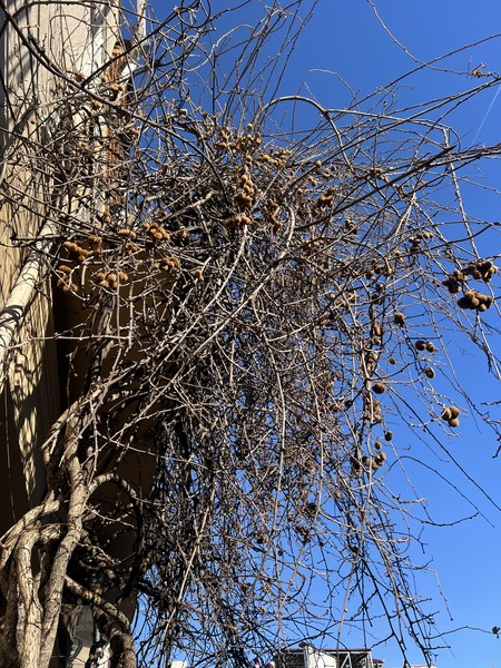 великолепно провели время с Владом на экскурсии по Батуми! влад прекрасный рассказчик, очень много знает, с