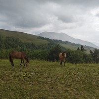 Отзыв о экскурсии "Самые большие курорты Кавказа за 3 дня: Эльбрус, Домбай и Архыз" — фото 1