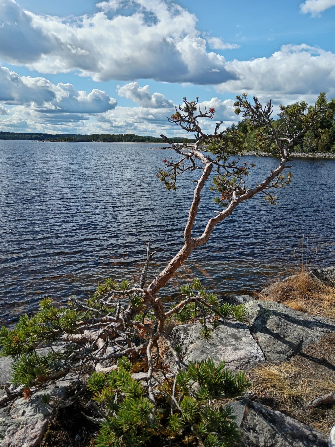 Место силы Карелии (Татьяна)