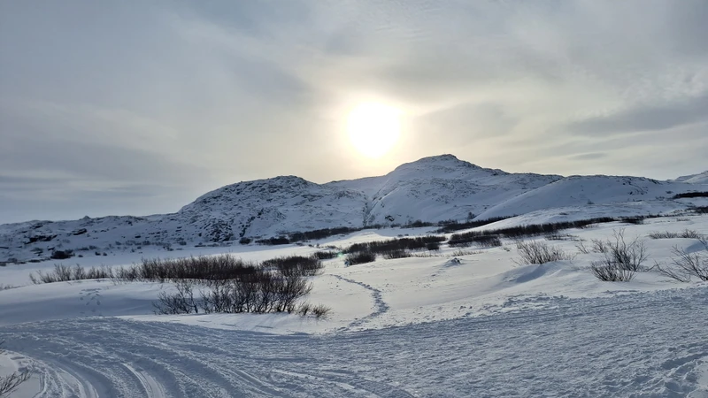 Спасибо огромное организаторам) Ездили в Териберку, все очень понравилось) Гид Павел- красавик! Очень интересно рассказывал и
