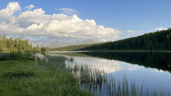 Улаганский тракт, озёра Чейбеккёль, Киделю и Уч-Кёль, Пазырыкские курганы, перевал Кату-Ярые и долина Чулышман