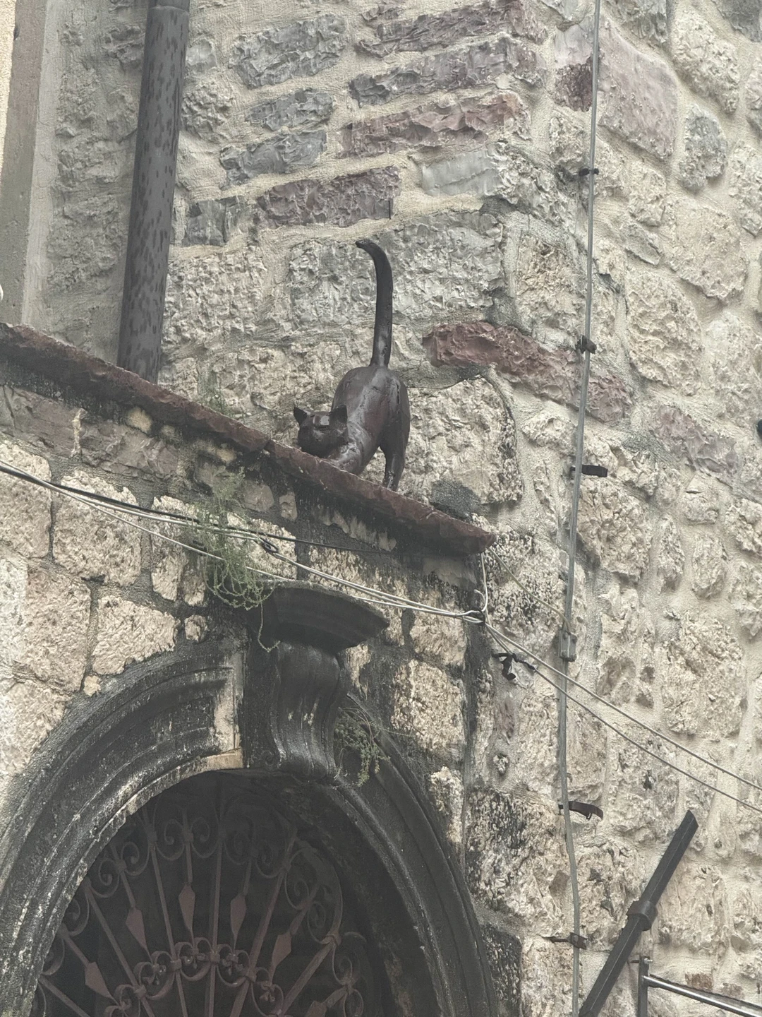 Очень рекомендую экскурсии с Ольгой. Она прекрасный рассказчик и знает ответ на любой вопрос. Мы имели