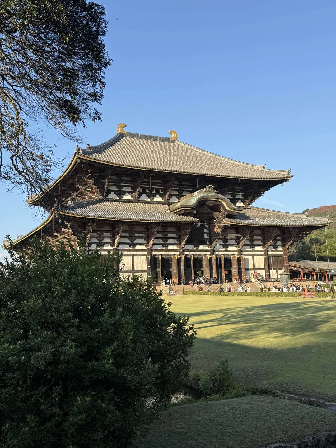 Марина очень профессиональный гид, досконально знает историю Японии! Очень приятная, везде помогала купить билеты, подсказывала лучшие