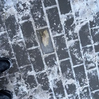 Фото отзыва 1: экскурсия "Стендап-экскурсия по Нижнему Новгороду"