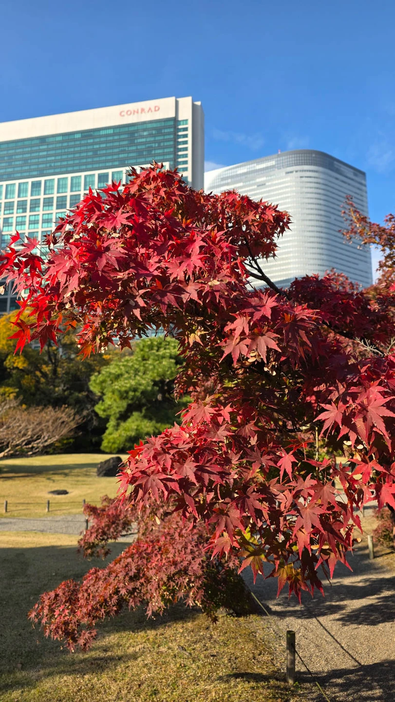 Брали экскурсию с Оксаной, понравилось все!