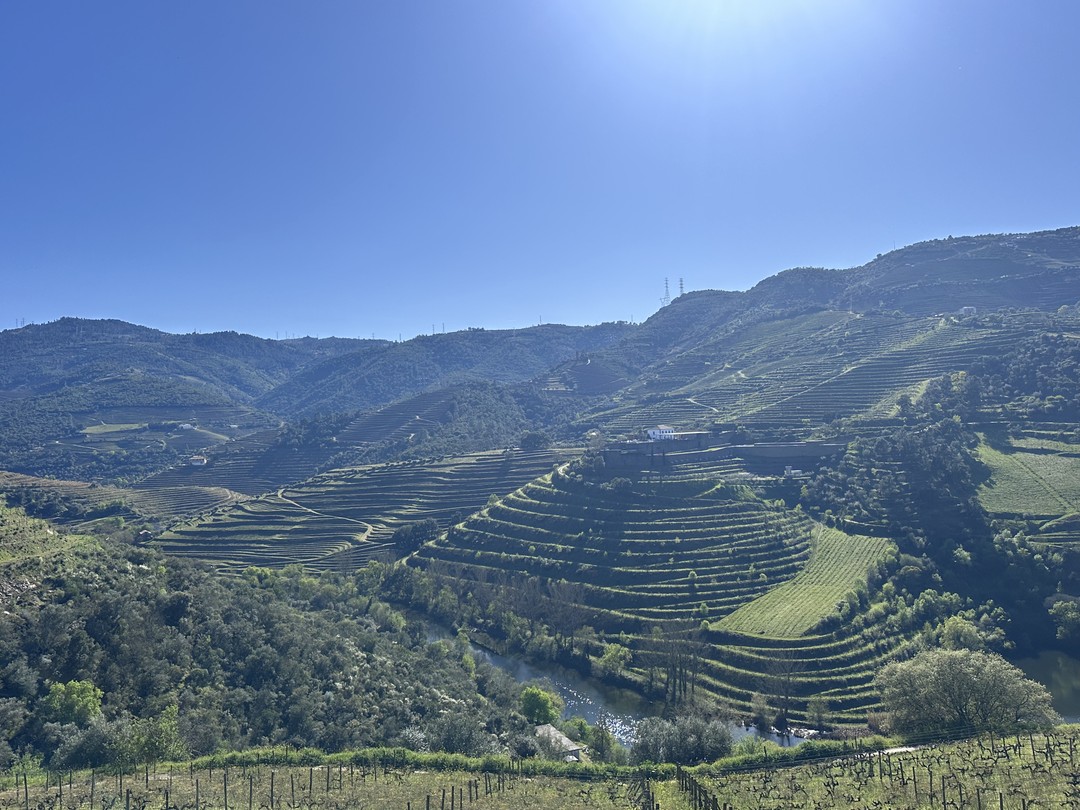 Кирилл, спасибо за интересную, очень комфортную экскурсию. Смело будем рекомендовать Вас нашим друзьям!