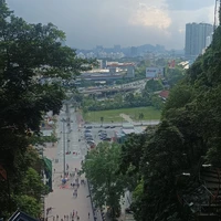 Фото отзыва 2: экскурсия "Из Куала-Лумпура — к дружелюбным лангурам и колониям светлячков"