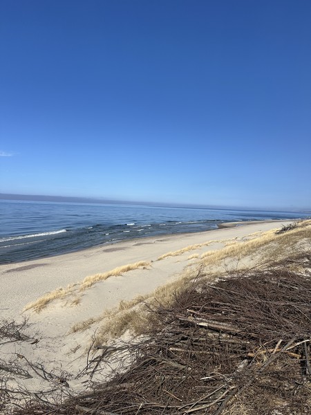 Степан - настоящий профессионал! Удивительно, как можно преподносить исторические факты так легко, интересно и с юмором