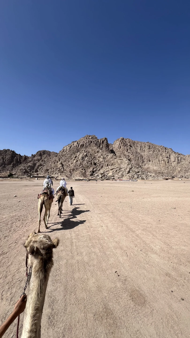 Только недавно вернулась с экскурсии - и до сих пор под впечатлением!