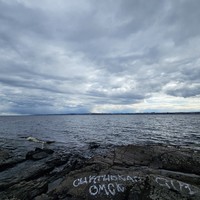 reviews img