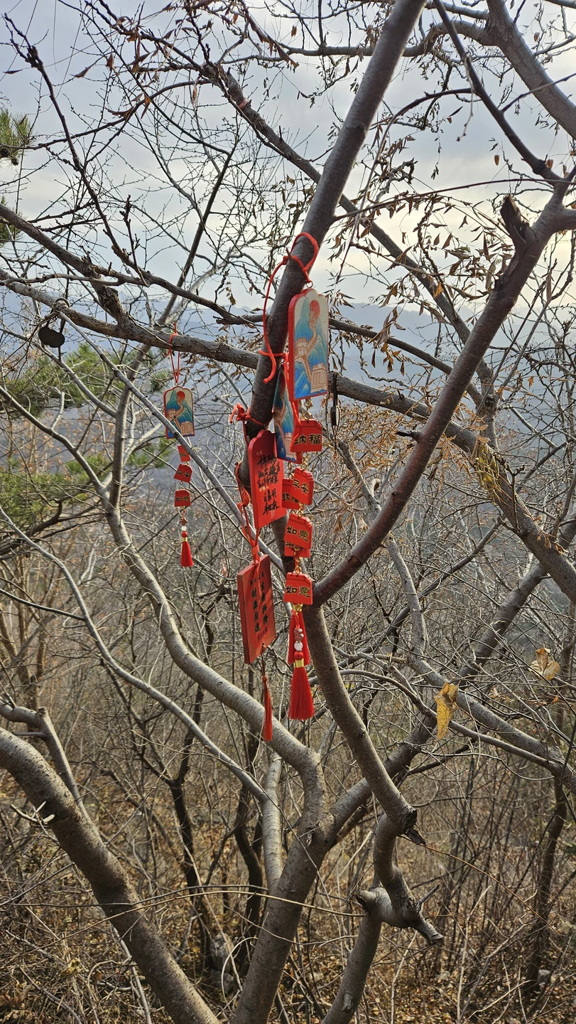 Экскурсия нам очень понравилась! Гид Олег выше всяких похвал: отзывчивый, веселый, прекрасно говорит по-русски, интересный рассказчик