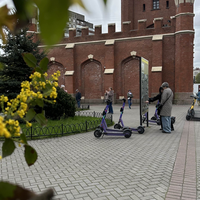 Фото туриста Альмира 4 - Калининград: самый смак за 3 часа