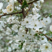 Фото отзыва 8: экскурсия "Кёнигсберг. История трёх городов"