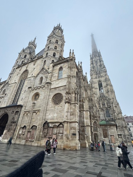 Вчера посещали Вену впервые и обратились к экскурсоводу Виктору, который очень интересно рассказал и показал нам