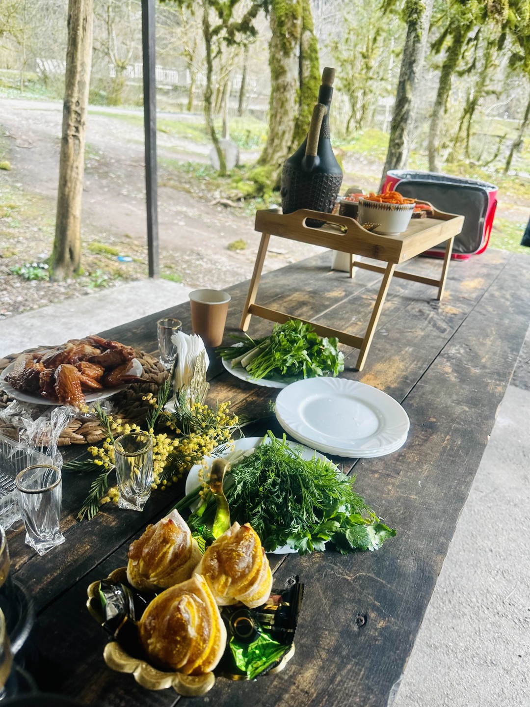 Душевная экскурсия в сердце Абхазии (из Гагры) (Виктория)