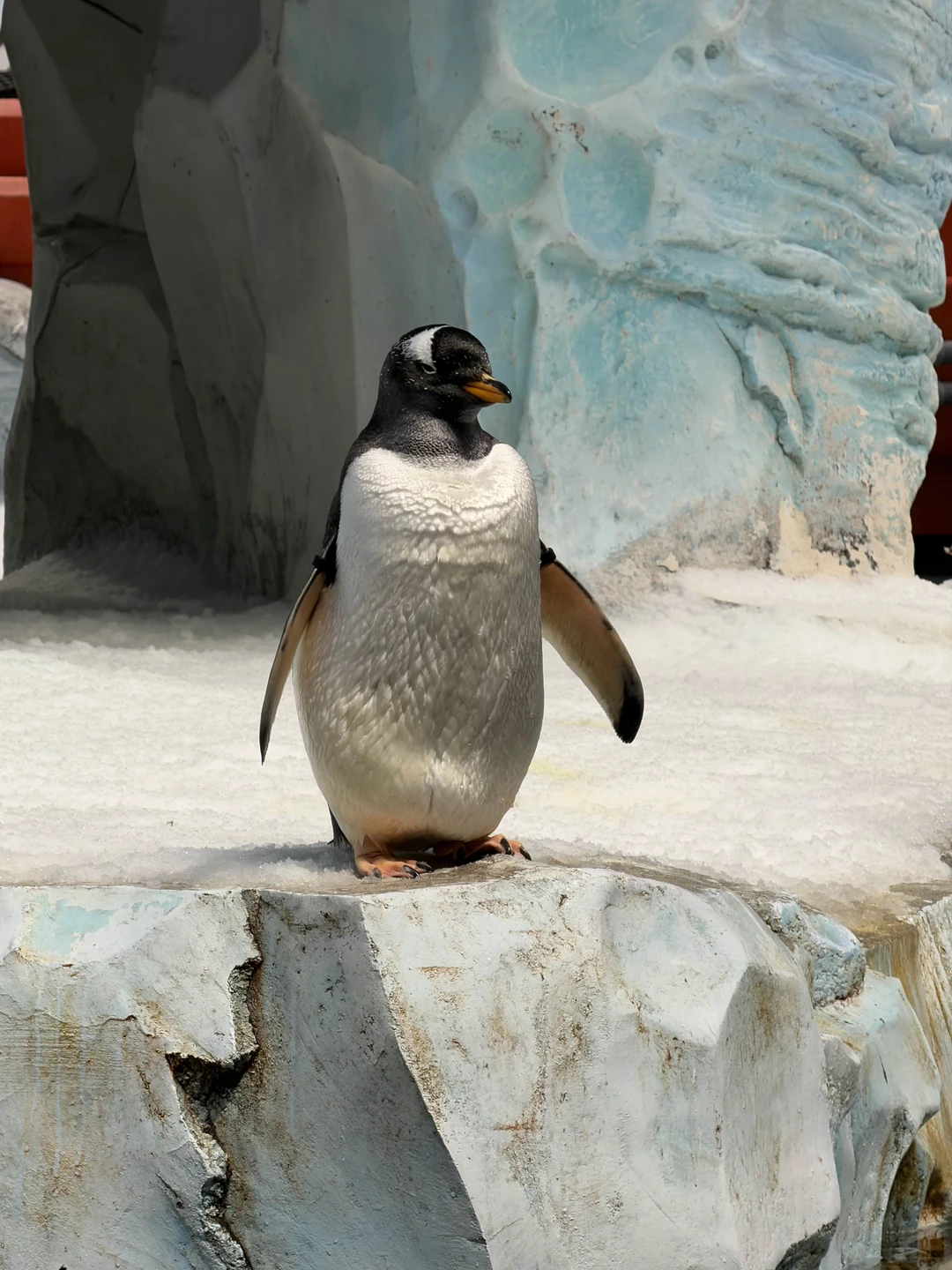 Спасибо Александре за насыщенный день в Абу-Даби 😍 Мы получили море эмоций и впечатлений, от всего