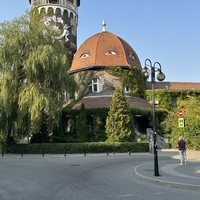 Фото туриста Кирилл 1 - Куршская коса + Янтарный, Светлогорск и Зеленоградск (из Светлогорска)