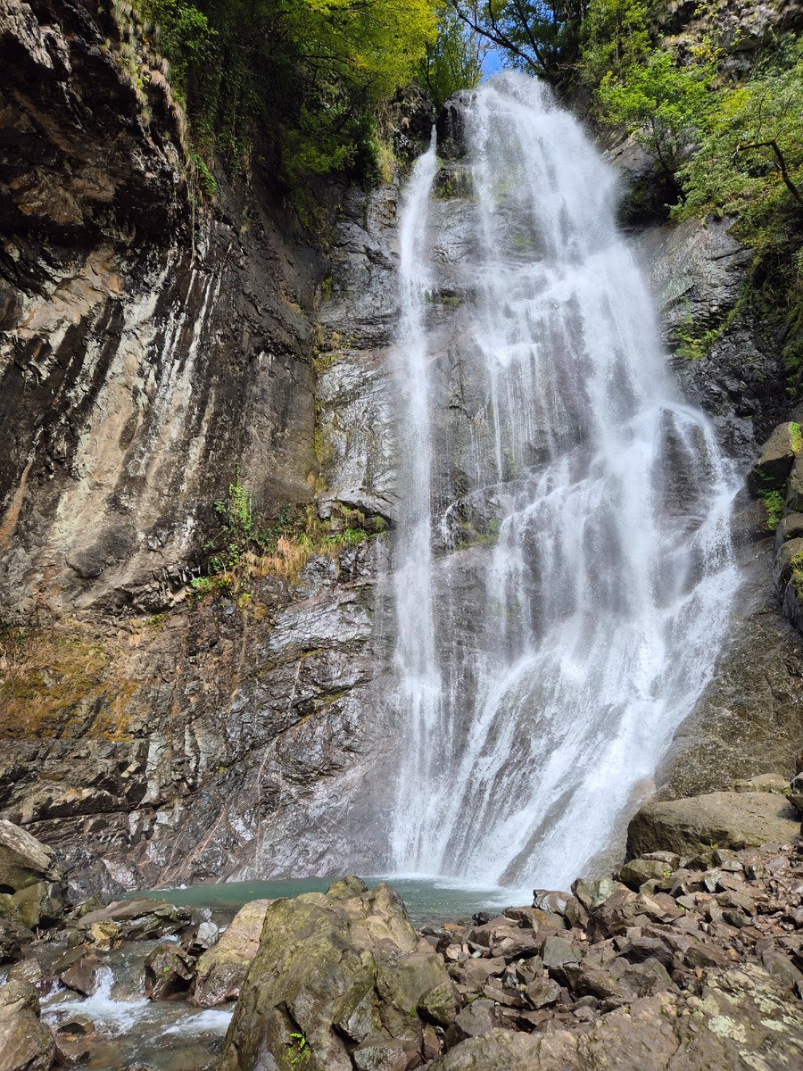 Несколько с опозданием, но оставлю отзыв о нашей поездке. Думаю, будет полезен. Старалась быть объективной