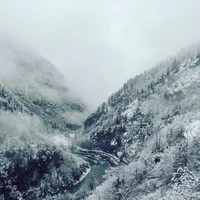 Фото отзыва 2: экскурсия "Из Адлера — к Гегскому водопаду и озеру Рица"