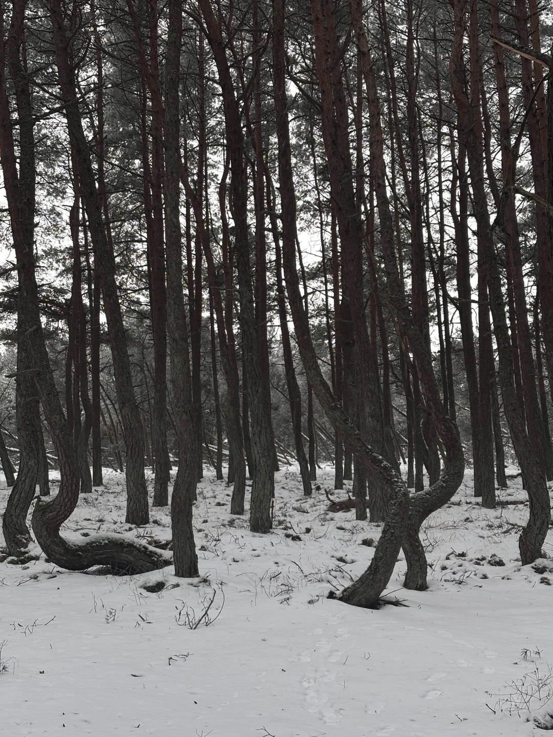 Очень красивая экскурсия 😻 Много интересного! И вкусного))