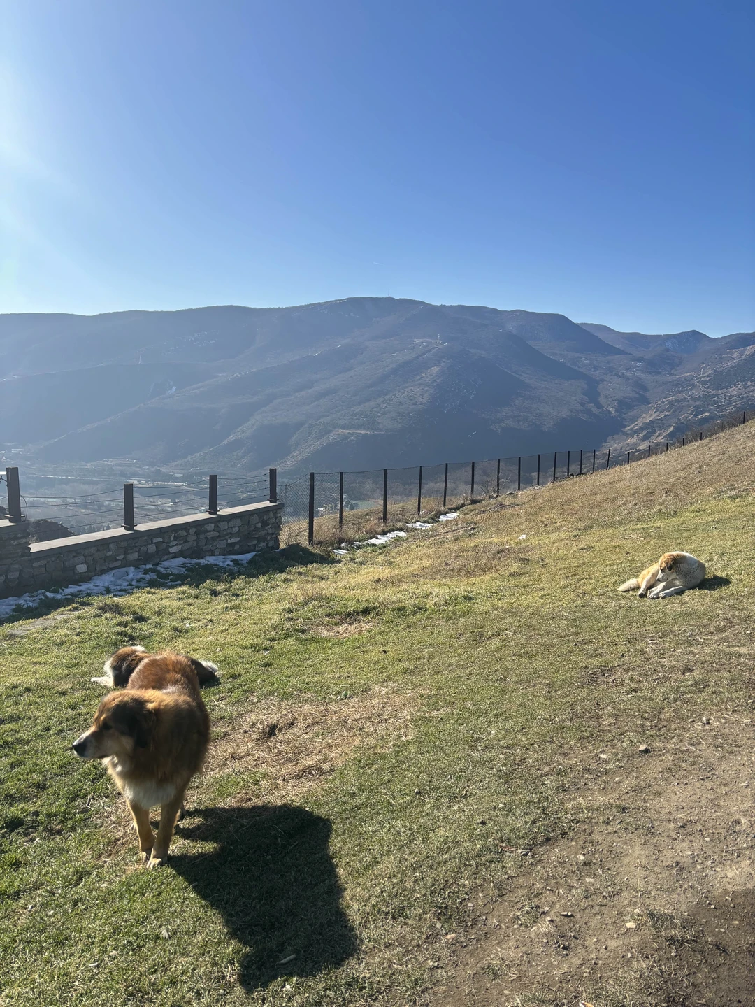 Святая Мцхета: экскурсия в небольшой группе (Саша)