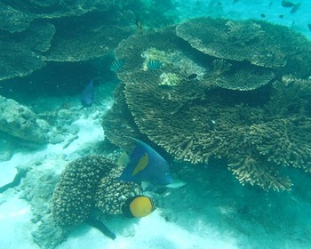 Морская прогулка к островам Бандар Кхайран, свободное время