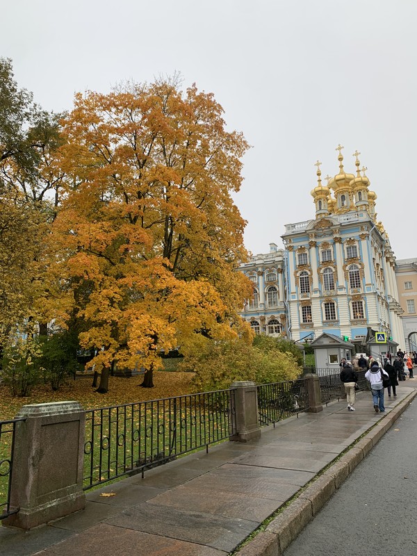 В Екатерининский дворец и Лицей - на машине из Петербурга