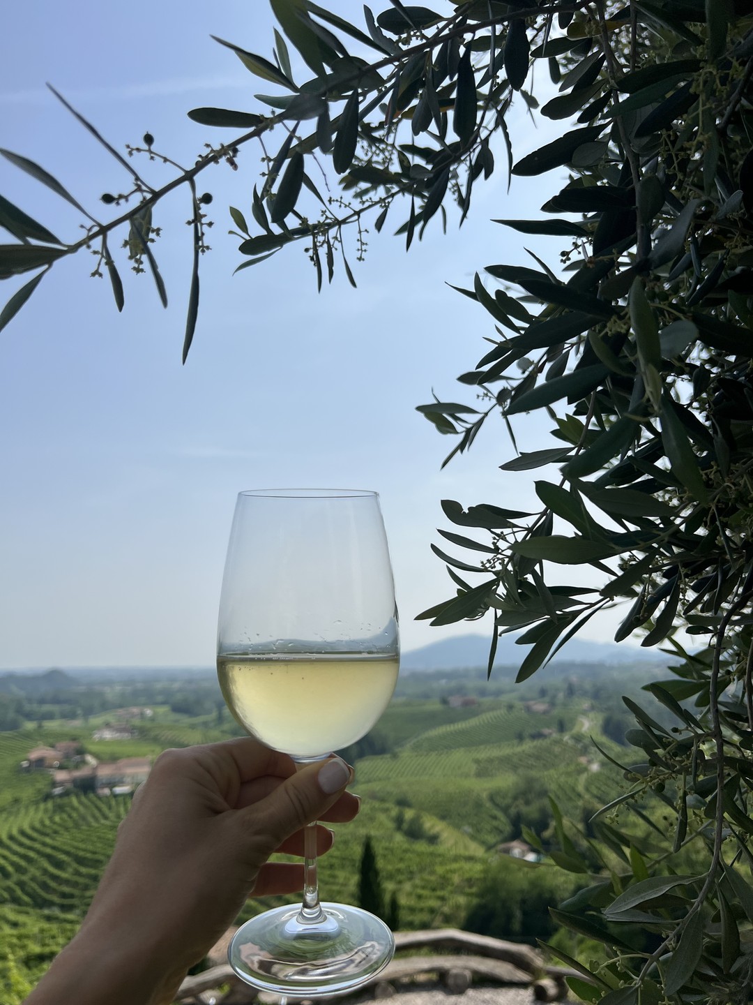 Вернулась из поездки с Алесандрой и не вериться, что все это было наяву. Невероятно красивые ландшафты,