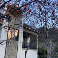 Фото отзыва 3: экскурсия "﻿Групповая экскурсия по солнечной Абхазии"