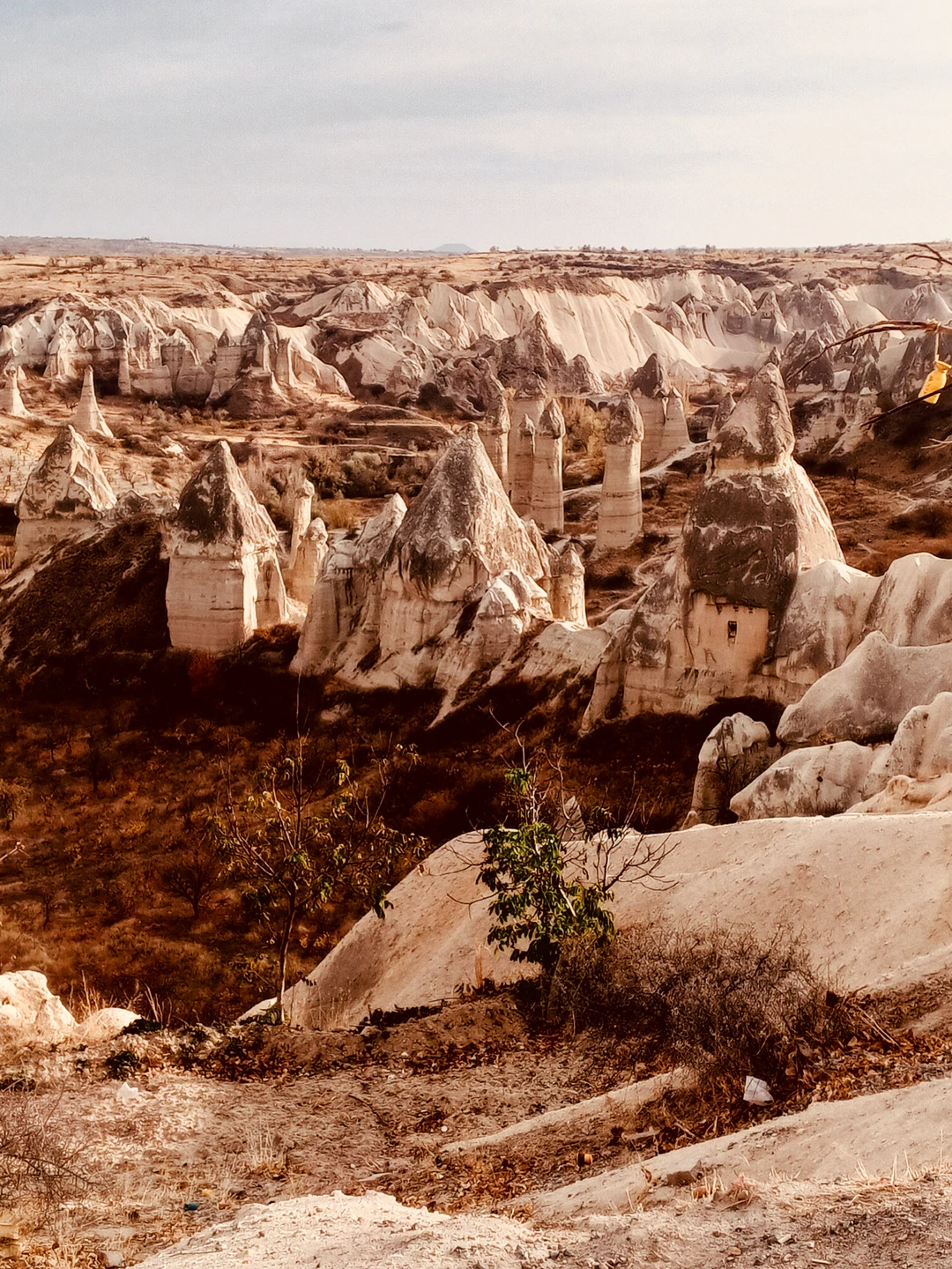 Спасибо за экскурсию,все было отлично организовано,отличная команда работает,хоть так и не удалось полетать на шаре,все равно