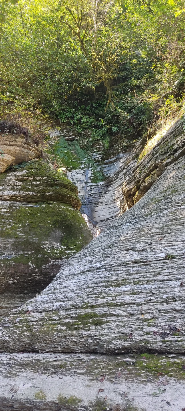 Хочу сказать огромное спасибо Даниилу, отличный парень, коренной сочинец, обожающий природу Сочи, знающий почти всё глубинки
