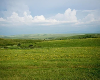 Алтайский край: Бийск