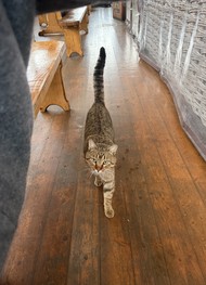 Фото отзыва 6: экскурсия "Главные жемчужины Страны Души за 1 день — из Сочи"