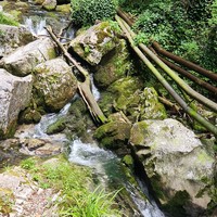 Фото отзыва 3: экскурсия "Велотреккинг в сочинских горах"