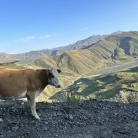 Фото отзыва 1: экскурсия "Путешествие в Шемаханское царство: от Каспия до Медных гор"