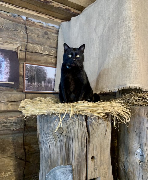 Замечательный этно- парк, рекомендуем попасть на экскурсию: весело, затейно о национальной истории, традициях. Парк в прекрасном