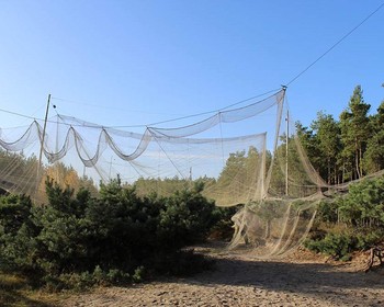Куршская коса, Танцующий лес, орнитологическая станция