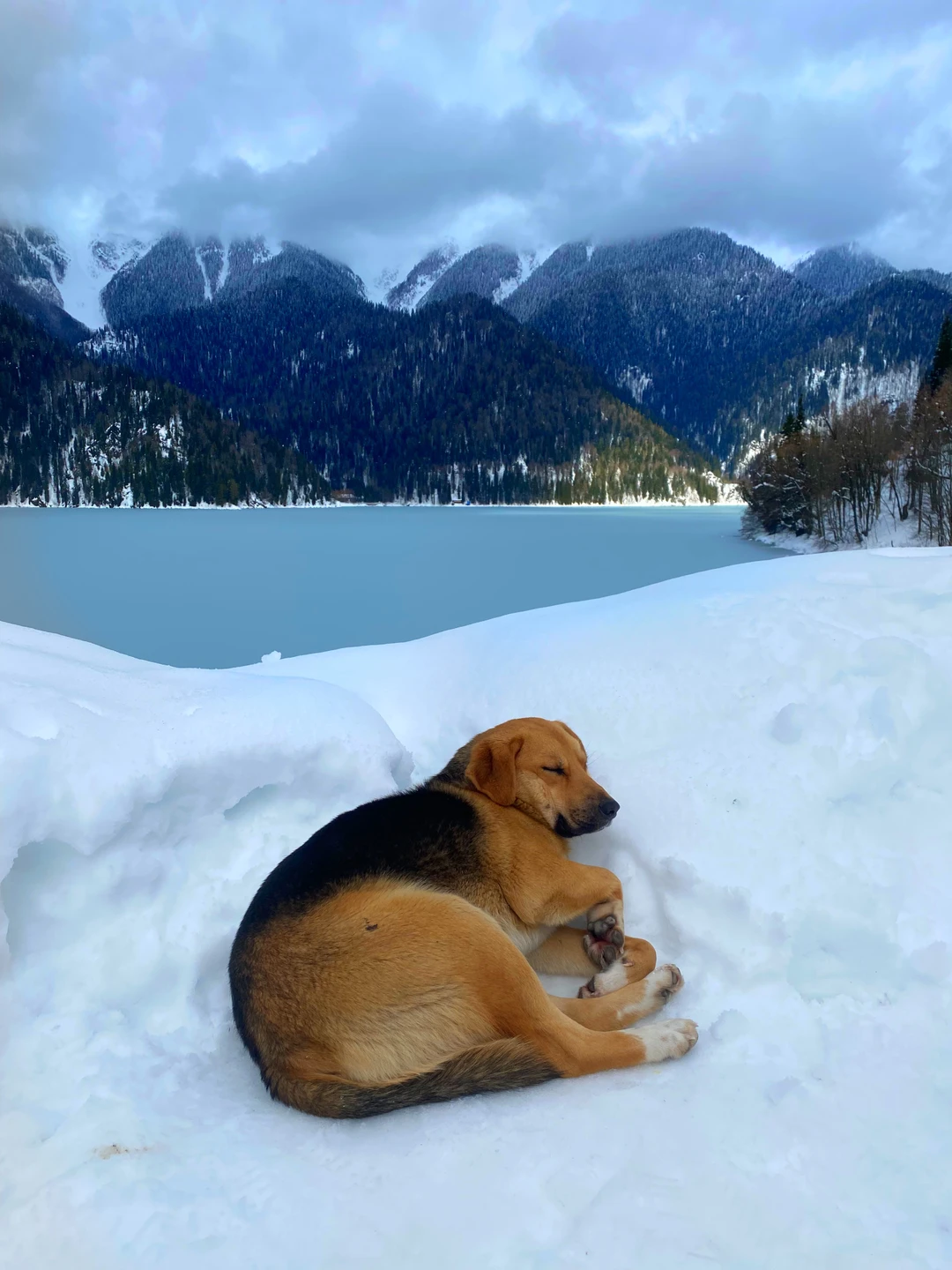 Здравствуйте. Экскурсия очень понравилось, мы увидели очень много мест и не устали так как все было