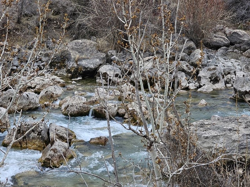 Все (организация тура, трансфер) прошло на высшем уровне! нагулялись, насладились красотой природы Таджикистана. никто никуда не