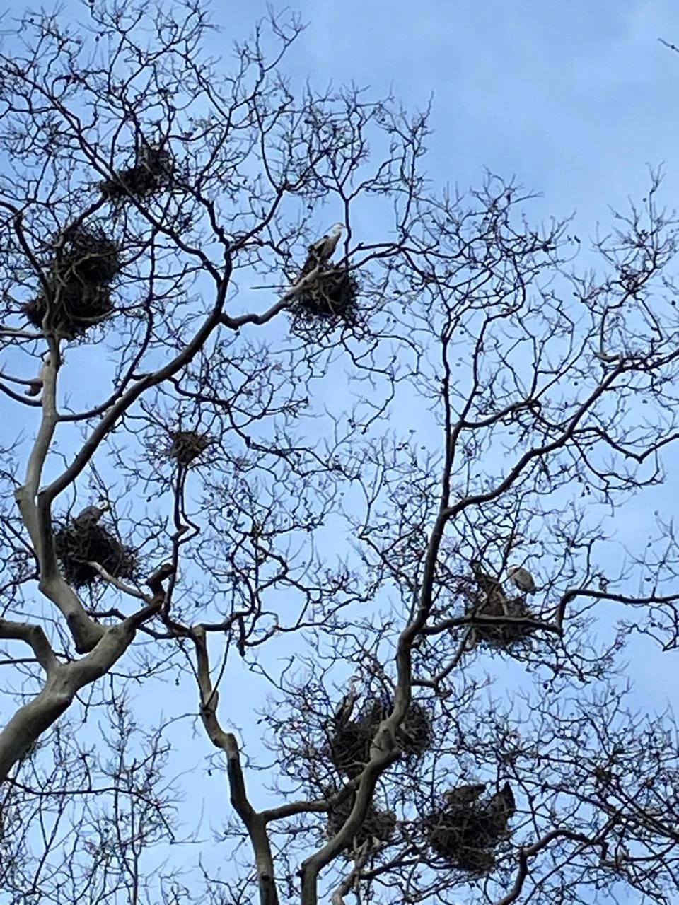 Знакомство со Стамбулом: Старый город + прогулка по Босфору (Нина)