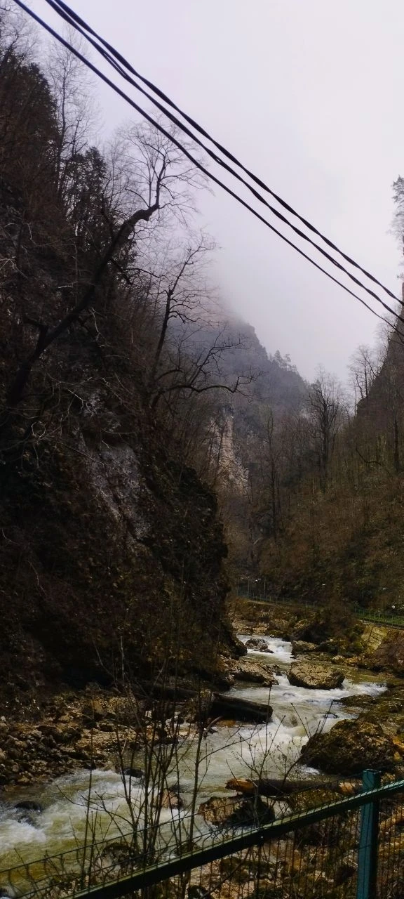 Очень понравилось! Ездили 15 ноября, боялись, что будет уже не так красиво как, например, весной или