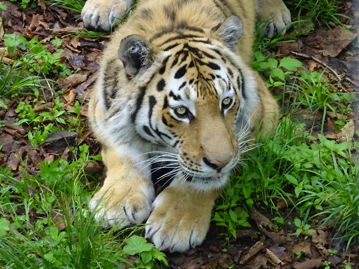 Неожиданное Приморье: из Владивостока — к водопаду, горной реке и ущелью Дарданеллы (9/14)