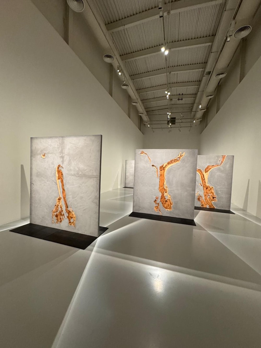 Маршрут вдохновения: мечеть и музеи (2/11)