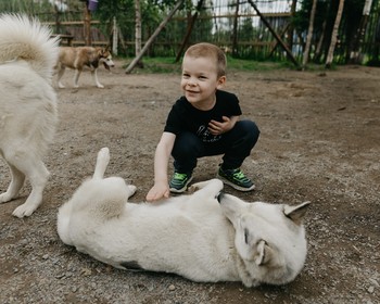 Парк «Долина водопадов», прогулка по экотропе, хаски, олени и лоси и отдых на берегу Ладожского отдыха
