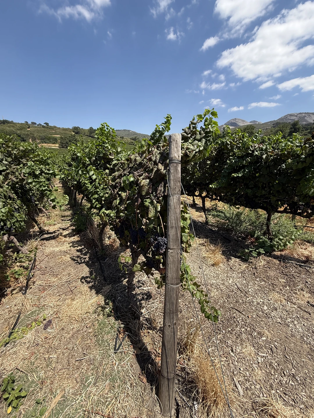 Если у вас болит зуб, нужно идти к стоматологу. Если сломался ноут, нужно идти в ремонт