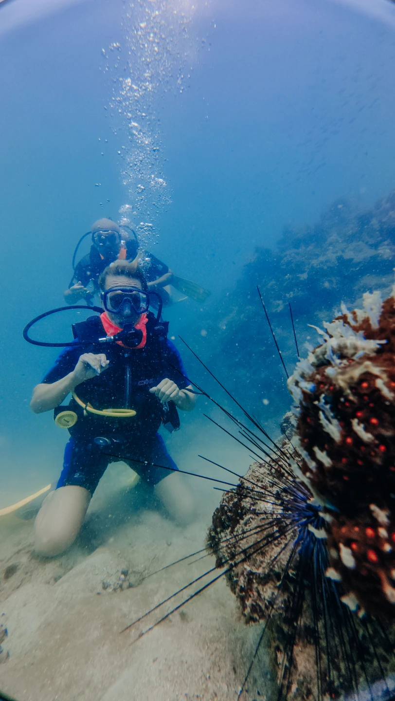 Доброго дня всем!! Выбрали дайвинг на Фукуоке с Евгением и не ошиблись,, остались в полном восторге!