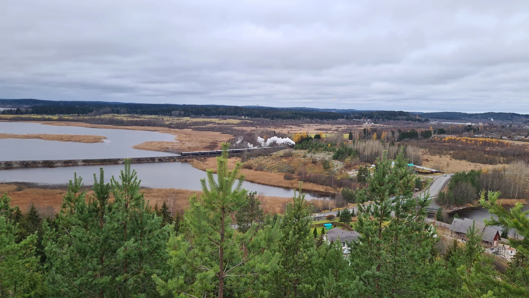 Прекрасная экскурсия! Провели отличный день в обществе Надежды и природы Карелии! Дополнительный плюс – практически полное