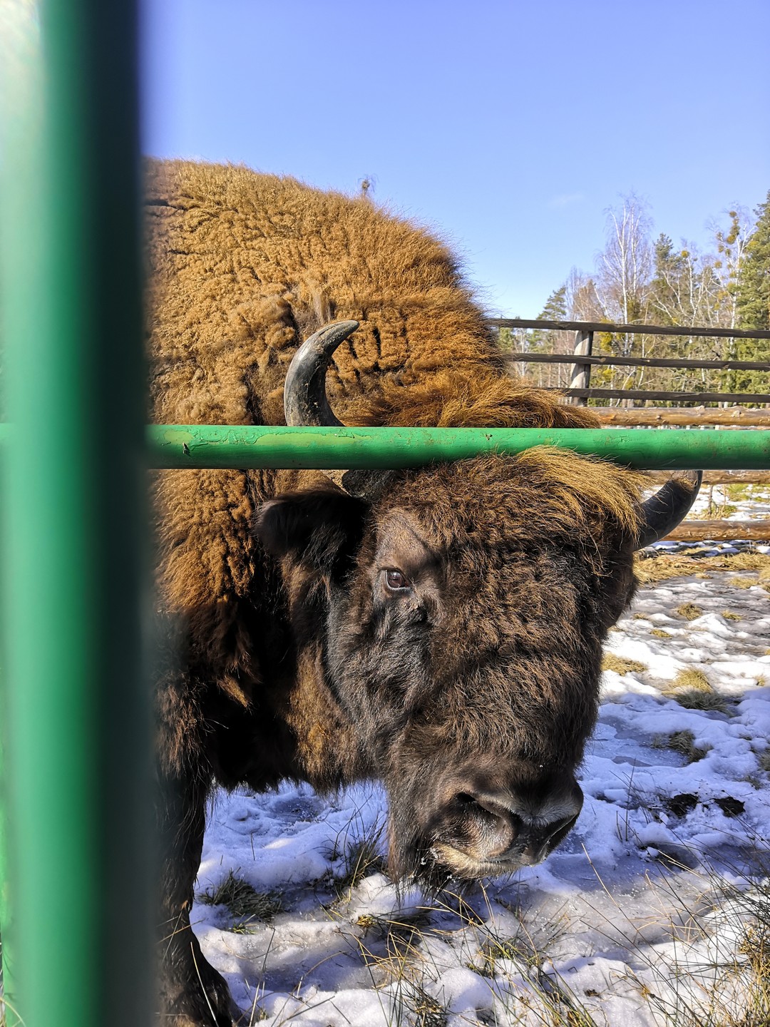 Спасибо огромное Екатерине за чудесную экскурсию! Очень рады, что выбрали именно ее формат! Дети и взрослые